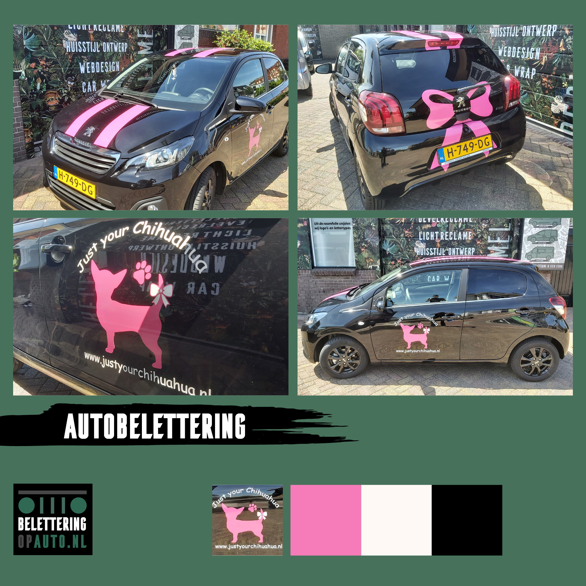 Chihuahua - beletteringopauto